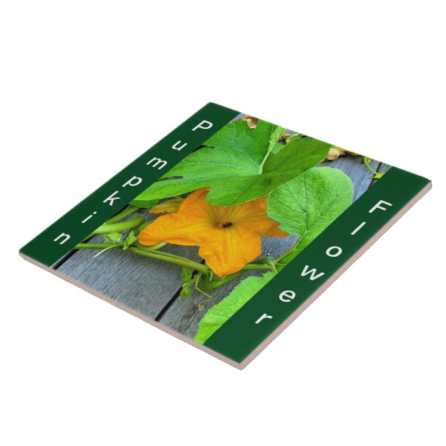Yellow Orange Pumpkin Flower on Vine  Ceramic Tile (Side)