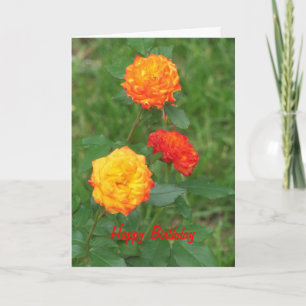 Yellow & Orange Roses, Special Birthday Card