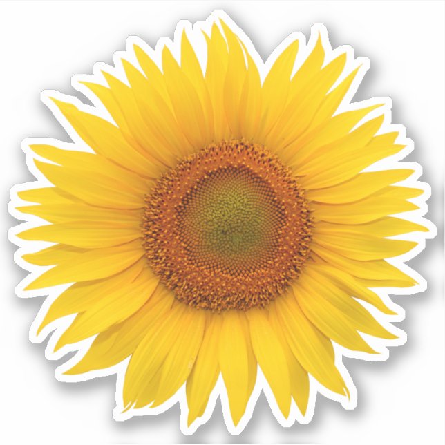 Yellow Orange Sunflower Flower Kiss-Cut Sticker (Front)