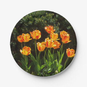 Yellow Orange Tulips paper plate