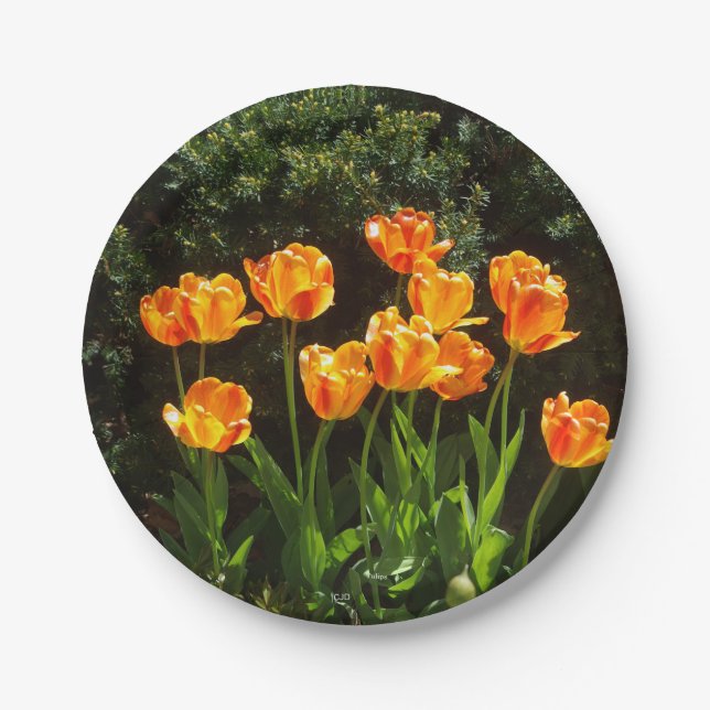 Yellow Orange Tulips paper plate (Front)
