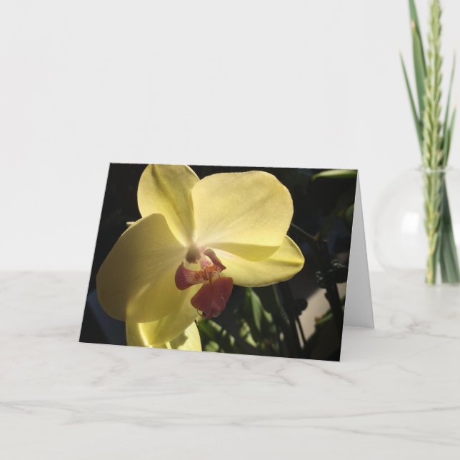 Yellow Orchid Blank Inside Greeting Card (Front)