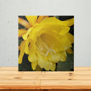 Yellow Orchid Cactus Bloom Floral Ceramic Tile