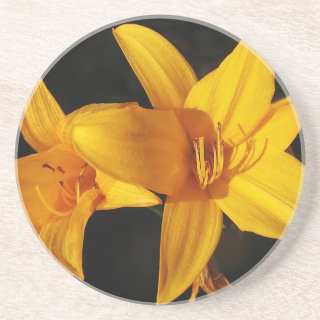 Yellow Orchid Coaster (Front)