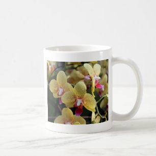 Yellow orchid flowers coffee mug