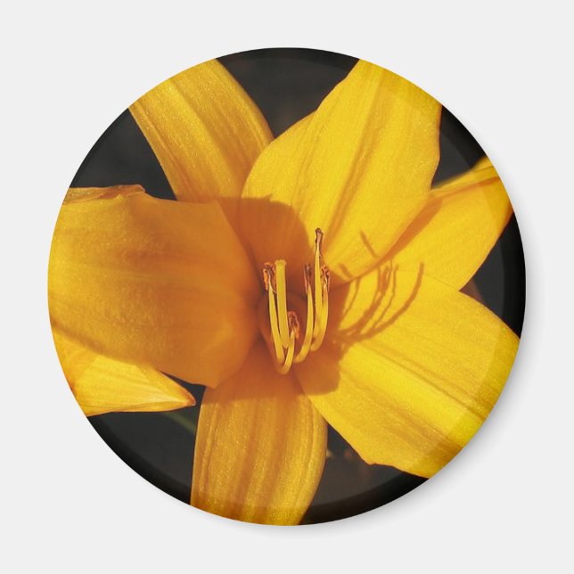 Yellow Orchid Magnet (Front)