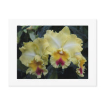 Yellow orchid postcard