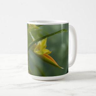 Yellow Orchid Rainforest Coffee Mug