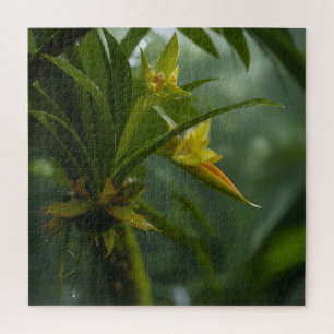 Yellow Orchid Rainforest Jigsaw Puzzle