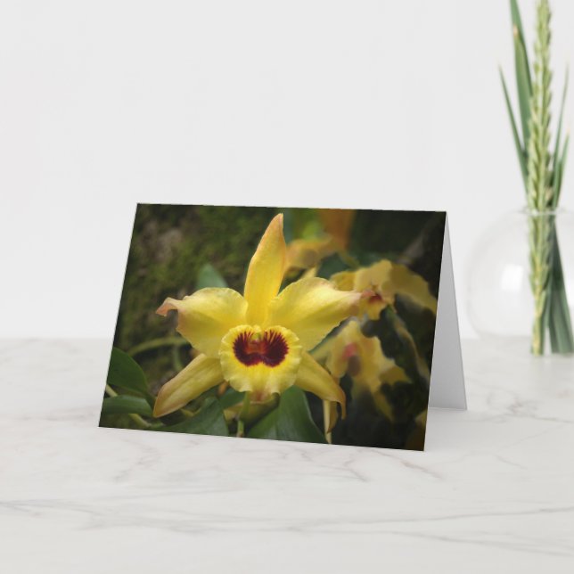 Yellow Orchid Thank You Card (Front)