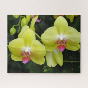 Yellow Orchids Jigsaw Puzzle