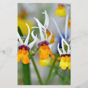 Yellow Orchids.JPG Stationery