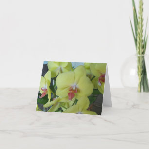 Yellow Orchids on a blank-inside notecard