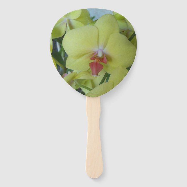 Yellow Orchids on a hand Held fan (Front)