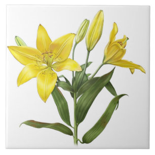 Yellow Oriental Lily Flowers Botanical Art Ceramic Tile