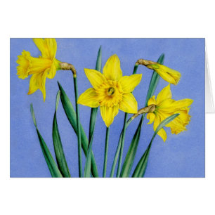 Yellow painted watercolor Daffodils art card