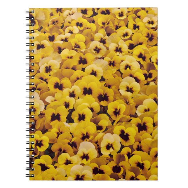 Yellow Pansies Notebook (Front)