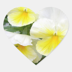 Yellow Pansies Stickers