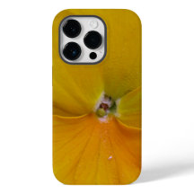 Yellow Pansy