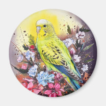 Yellow Parakeet