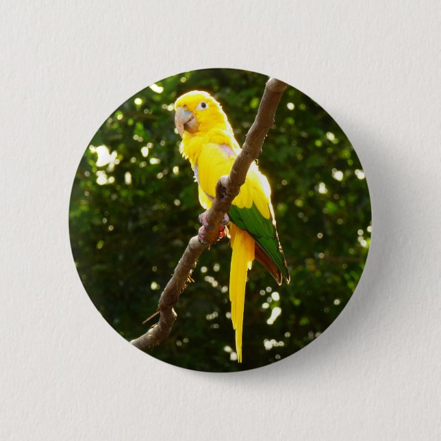 Yellow Parrot 6 Cm Round Badge (Front)
