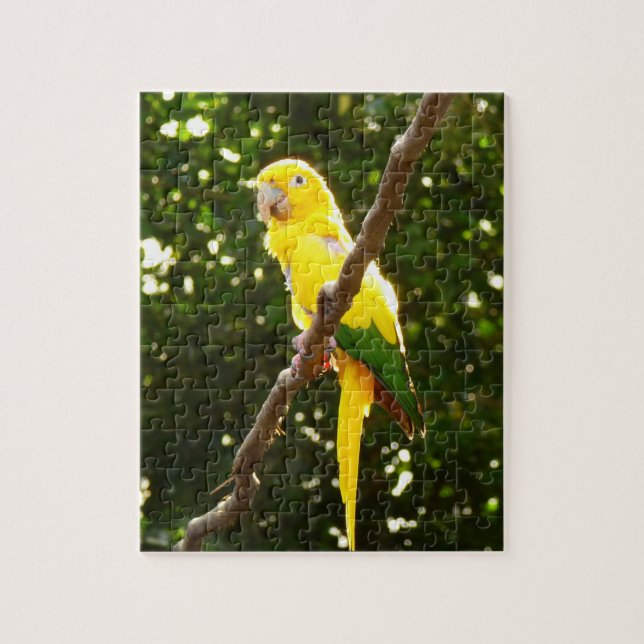 Yellow Parrot Jigsaw Puzzle (Vertical)
