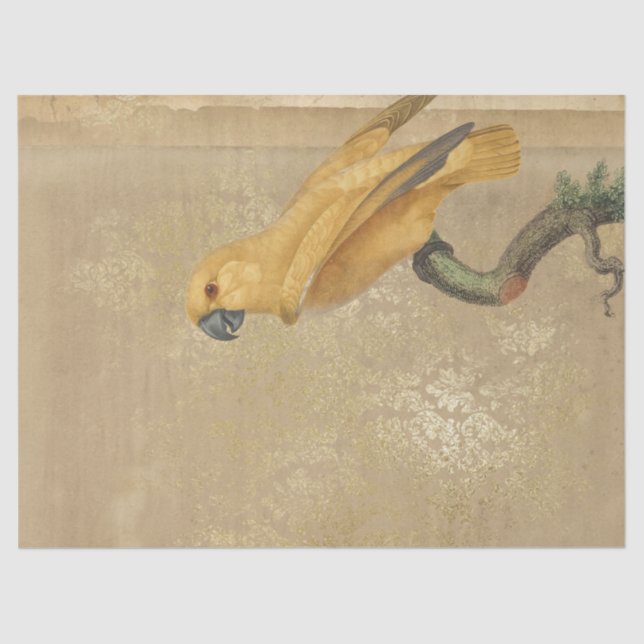 Yellow Parrot on Tan and Gold Decoupage Tissue Paper (Front)