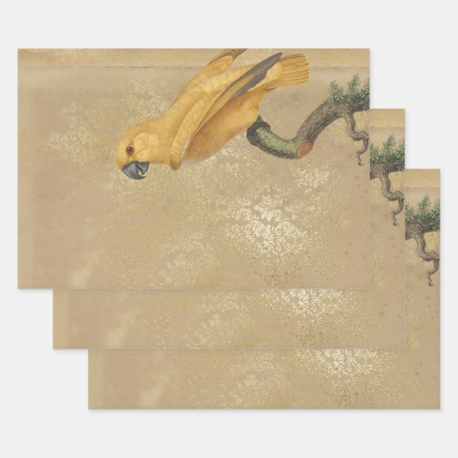 Yellow Parrot on Tan and Gold Wrapping Paper Sheet (Set)