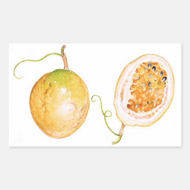 Yellow Passion Fruit Rectangular Sticker (Front)