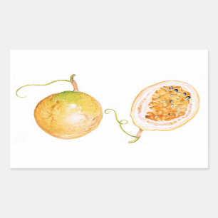 Yellow Passion Fruit Rectangular Sticker