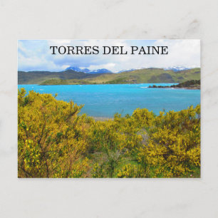 yellow patagonia postcard