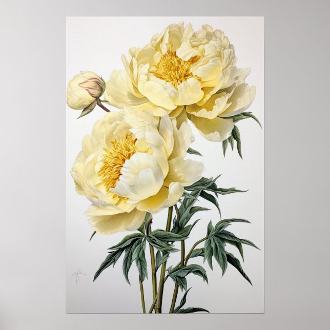 Yellow Peonies Flower Art Print Poster (Front)