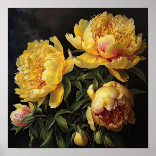 Yellow Peonies Flower Art Print Poster