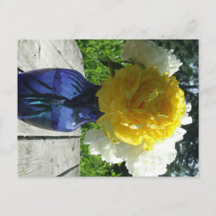 Yellow Peony Flower in Blue Vase Postcard