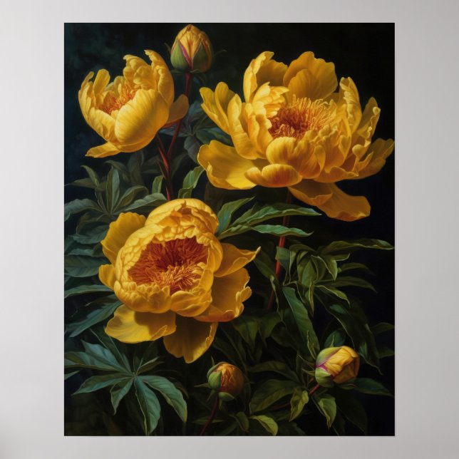 Yellow Peony Flowers Art Print Poster (Front)