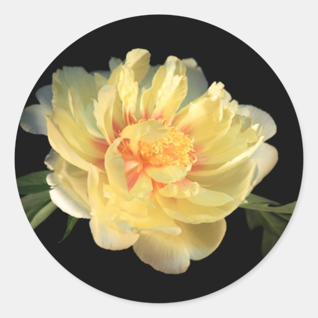 Yellow Peony Wedding Envelope Seal Stickers (Front)