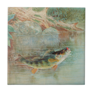 Yellow Perch by S.A. Kilbourne, Vintage Fish Ceramic Tile