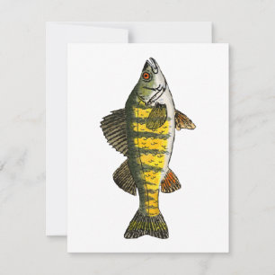 Yellow Perch Card