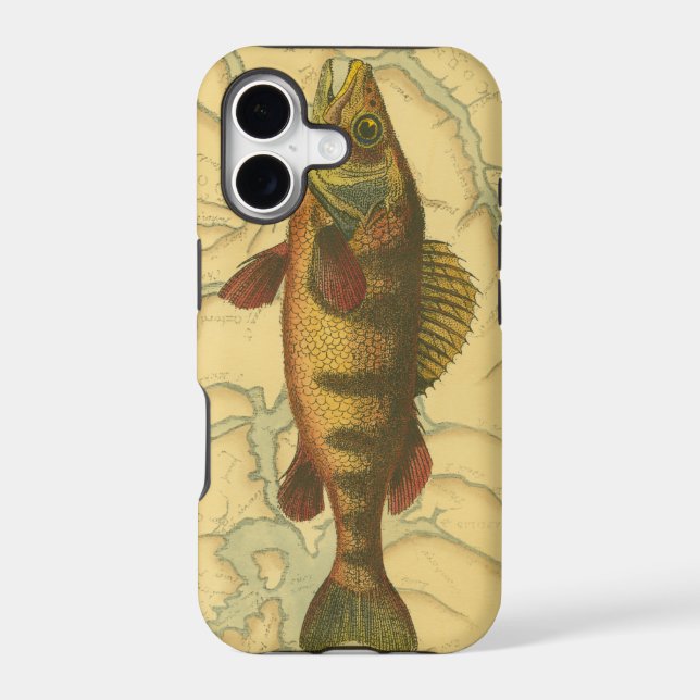 Yellow Perch on Map (Back)