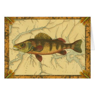 Yellow Perch on Map
