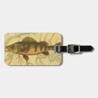 Yellow Perch on Map
