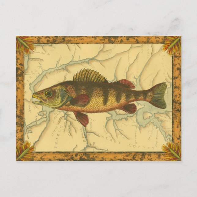 Yellow Perch on Map Postcard (Front)