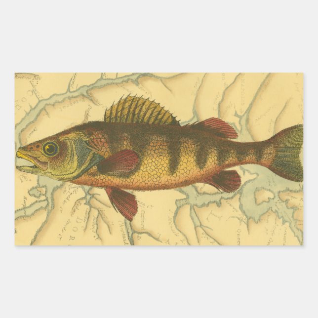 Yellow Perch on Map Rectangular Sticker (Front)