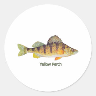 Yellow Perch (titled) Classic Round Sticker