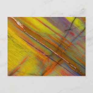 Yellow Petrified Wood Postcard