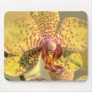 Yellow Phalaenopsis Purple Spots Mouse Pad