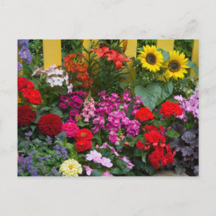 Yellow picket fence with flower garden in postcard