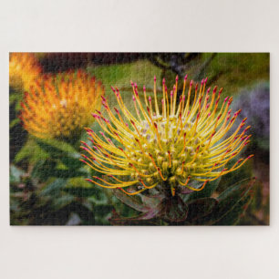 Yellow Pin Cushion of Kula Jigsaw Puzzle