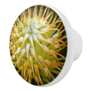Yellow Pincushion-Protea Flower Ceramic Knob