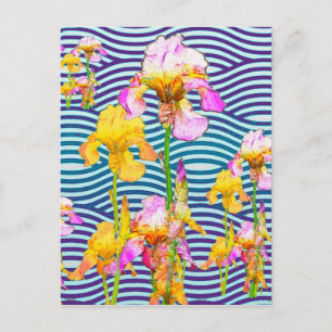 Yellow-Pink Iris Water Garden Postcard